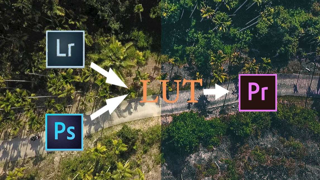 What is a LUT and How to Use Viltrox LUTs for Color Grading - Viltrox Store