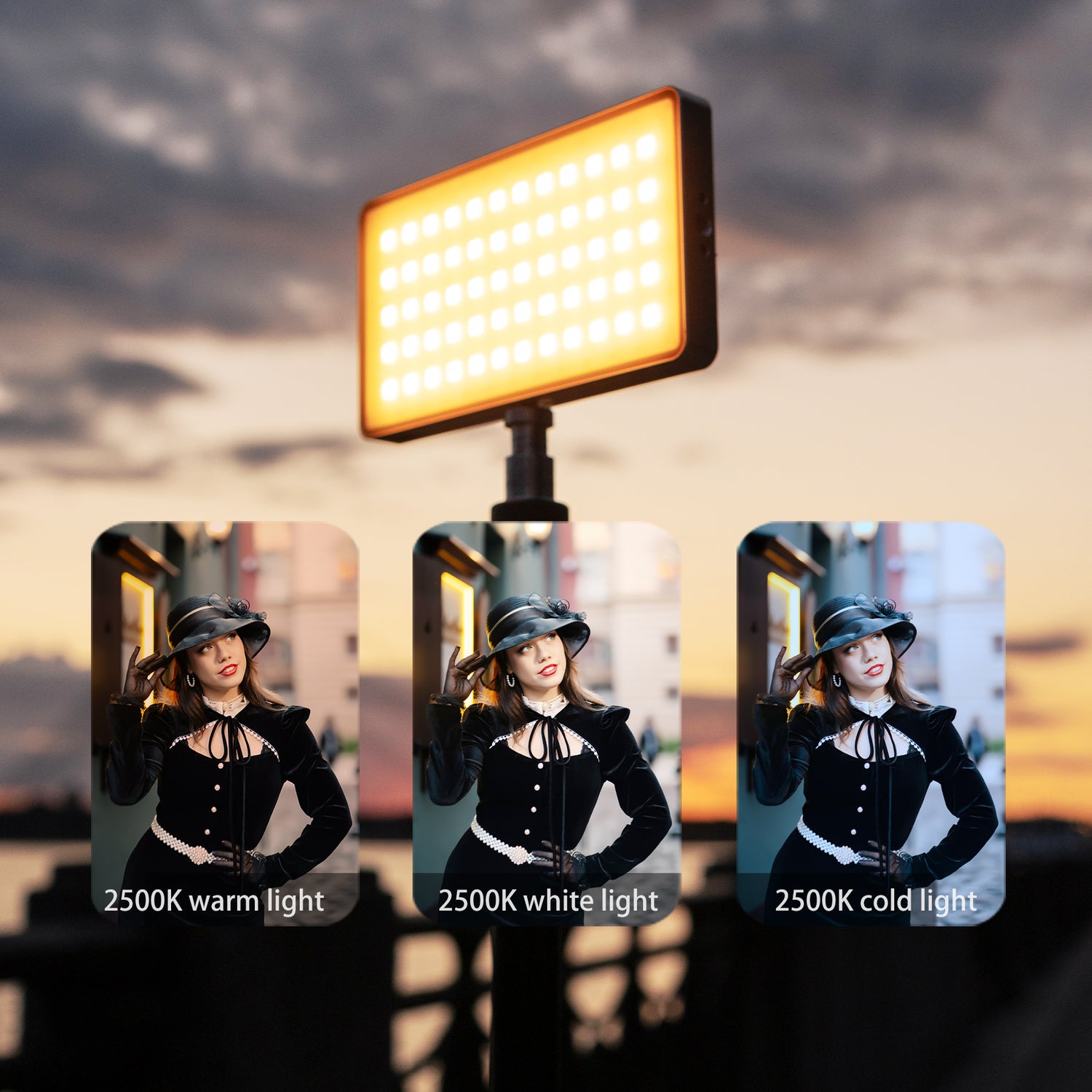 7_d94afa03-2626-4500-a435-cad03924a133.jpg?v=1709617908&width=1500