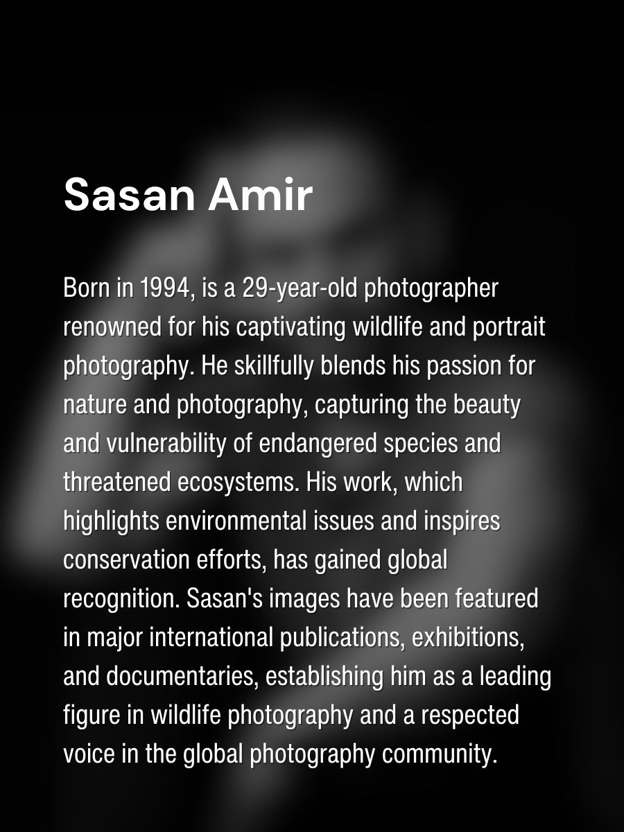 Viltrox Image Awards Judge Sasan Amir